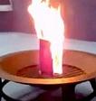 burning the Qur'an