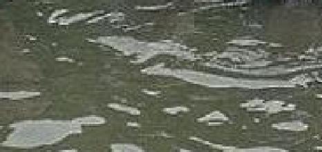 keep switzerland free and beautiful