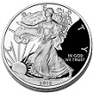American silver eagle