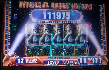 A Full Screen of Gorillas in Queen of the Wild