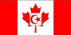 crescent maple flag