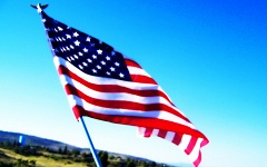 backyard american flag