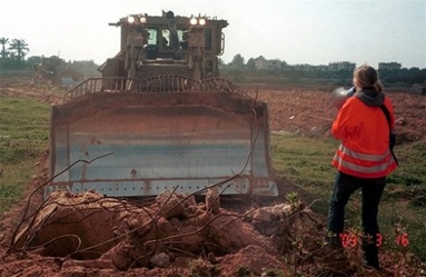 rachel corrie alive