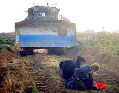 rachel corrie alive