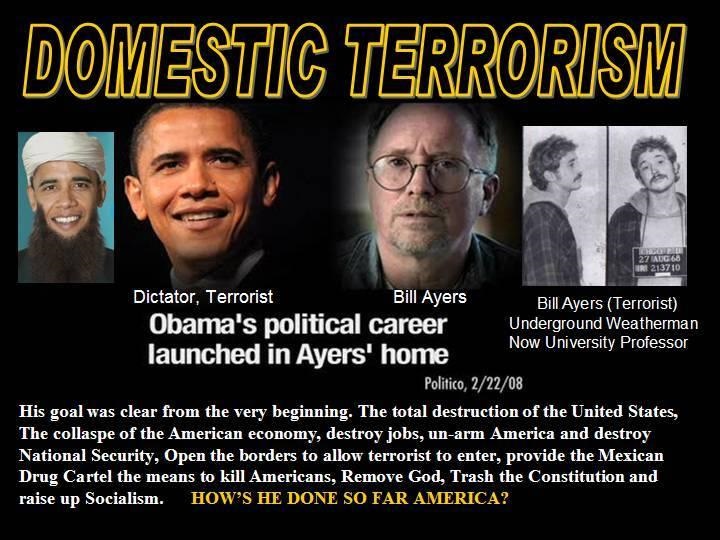 domestic-terrorist.jpg