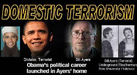 Obama - domestic terrorist