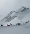 This photo was taken at the top of the Horstman Glacier, not far from the T-Bar top station, on the dividing ridge between the Horstman and Blackcomb Glacier valleys. Photo taken Easter long weekend 2006.