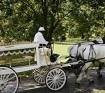 Michael Brown's casket arrives at St. Peter's Cemetery on Monday, August 25, 2014 for his funeral. Brown, 18, was shot and killed by police Officer Darren Wilson on August 9 in Ferguson, Missouri. Brown's death sparked protests in the St. Louis suburb, and a national debate about race and police actions.
