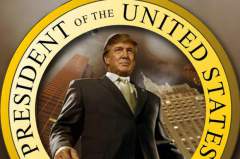 donald trump the president