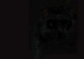 black cat costume halloween at night