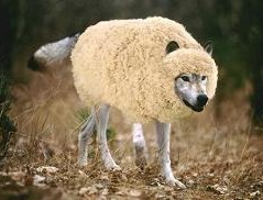 wolf in sheep's clothing