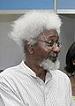 wole soyinka
