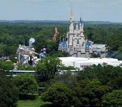 ay lake tower magic kingdom view