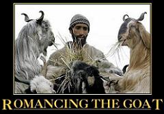 romancing the goats