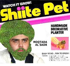 shiite pets