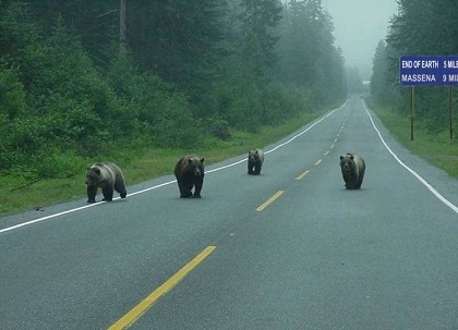 Montana border patrol
