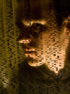 Scientist analysing DNA fingerprint