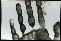 fingerprints