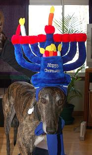A Great Miracle Happened Here chanukah dog costume