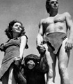 Tarzan and Jane and cheetah the chimpanzee 