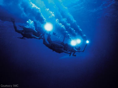 Exploring the coral reefs of the Red Sea