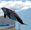 marineland florida