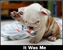 doggy - it was me