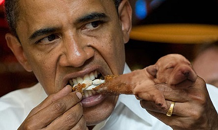Obama eating dog
