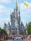 disney world