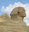 the Sphynx
