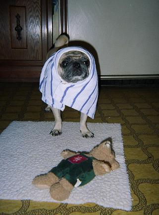mother theresa reincarnate