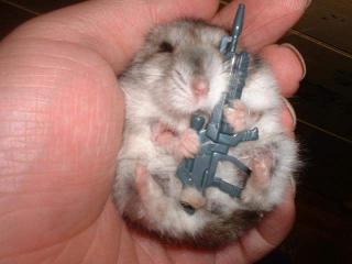 killer Israeli gerbils