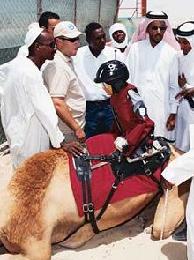 robot camel jockeys