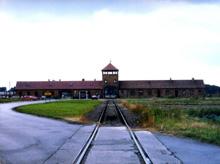 auschwitz