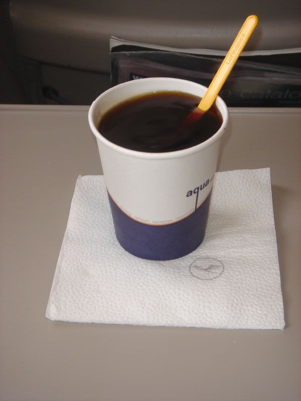 What happens when a fly falls into a coffee cup? from Planck's Constant