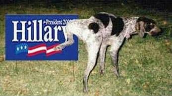 dog senses hillary doom to USA