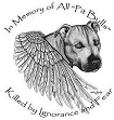 angel pit bull :(