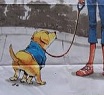 $1500 fine if you don't clean up your dog's poo!