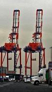 DP World