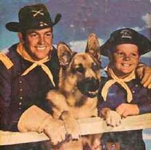 rin tin tin