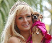 Paris Hilton and her Chihuahua Tinkerbell