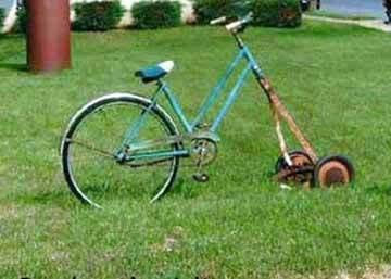 redneck all about bubba