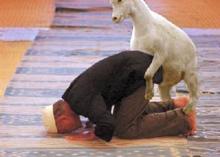 sex with goats