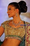 Thailand gems and jewelery traders association celebrated Thai night with Manish Malhotra showcasing his latest bridal wear collection at Intercontinental Hotel.