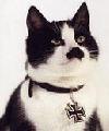 hitler