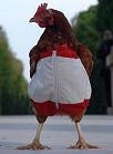 why is the chicken crossing the road