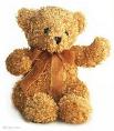 mohammed teddy bear