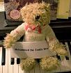 teddy bear named mohammed