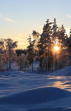 This is a picture taken at 13.00 in Arvidsjaur, Sweden, 100 km from the Arctic Circle. This is as high as the sun gets this time of year.