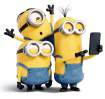 minions believe non-muslims are greater threat than Muslims